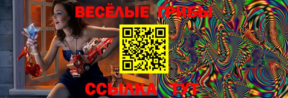 Россия  Галлюциногенные грибы ЛСД  Вход с VPN 