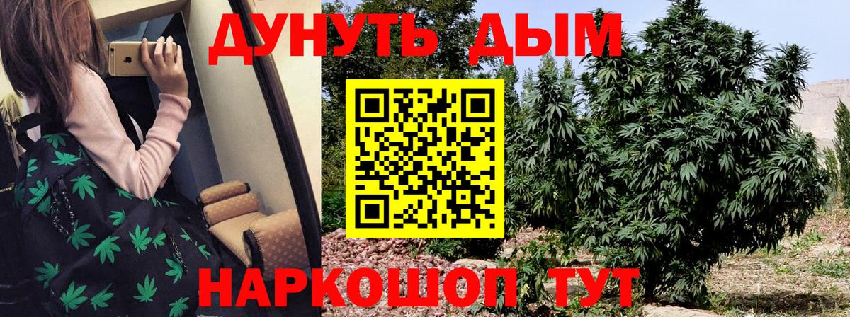 Россия  МАРИХУАНА тримм  Вход с VPN  Бошки Шишки MAZAR  Бошки марихуана White Widow  Конопля индика 